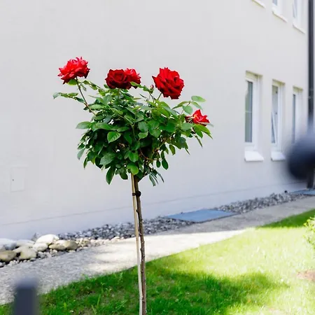 Haus Am Muehlenweg - Typ 4 Haus I - Sonniges Und Modernes Appartamento